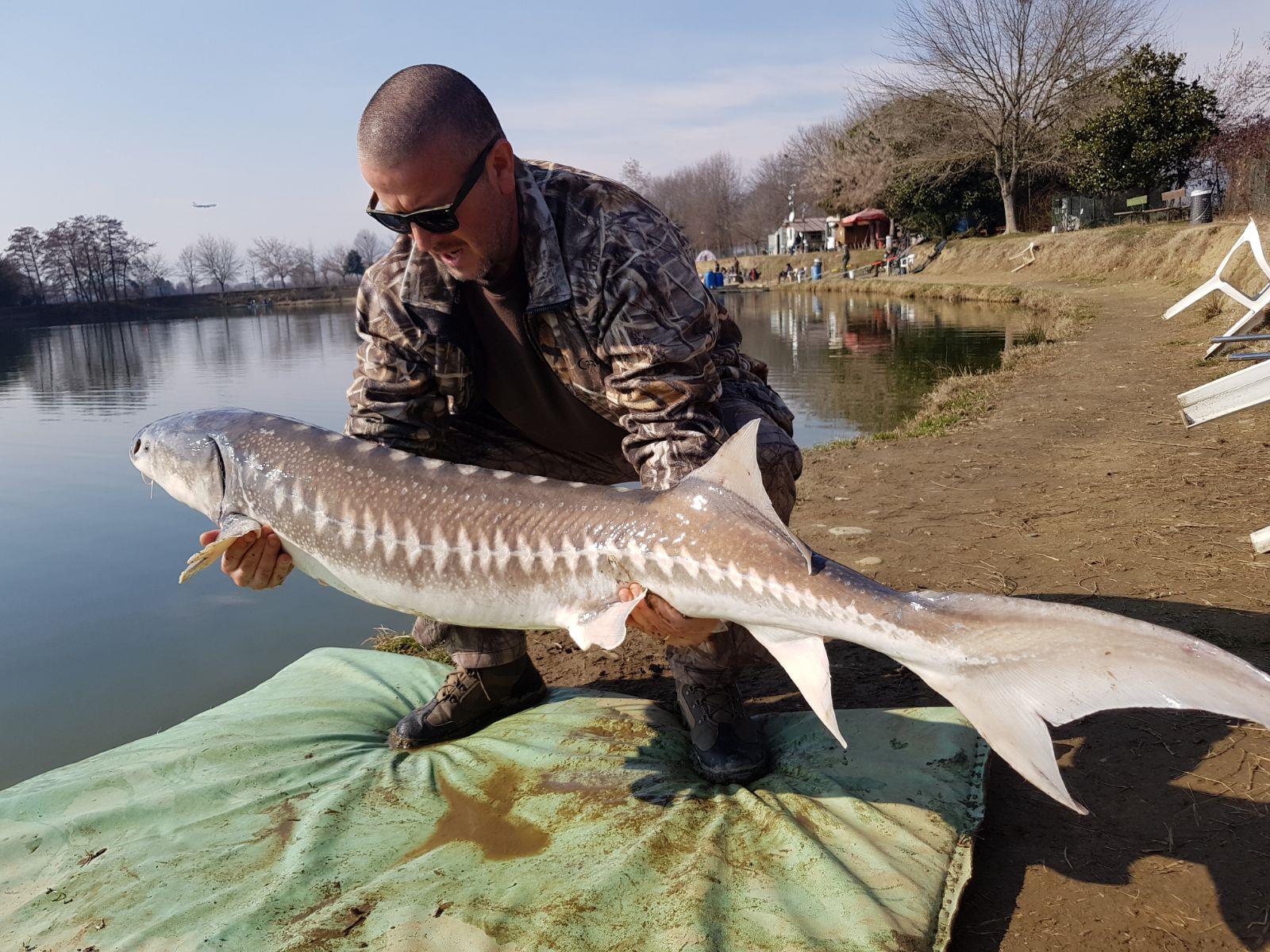 Gioia Lake - img-20180215-wa0020.jpg